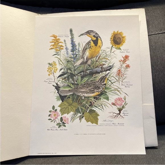 Vintage Arthur Singer Bird Prints Set Of 8 - Picture 9 of 13